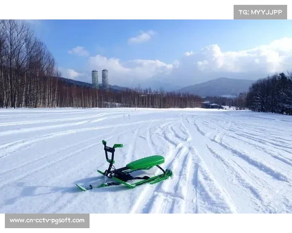 日本雪车队因协会规则漏看无缘冬奥，运动员努力付诸东流
